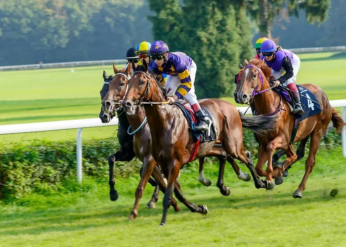 Montrose House Сasa de vacaciones *